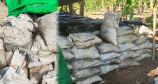 Bisnis Batu Hitam Ilegal di Bolsel Kembali Marak, Warga Minta Polda Sulut Bertindak