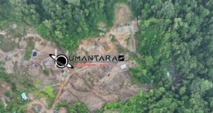 Bukan Sekadar Excavator, Ada Dugaan Rantai Modal di Balik PETI Lokosina